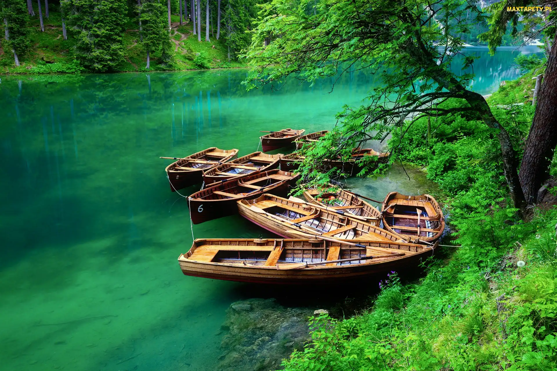 Włochy, Las, Jezioro Pragser Wildsee, Łódki, Południowy Tyrol