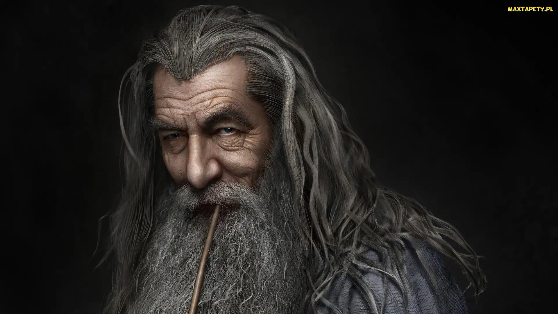 Hobbit, Portret, Czarodziej, Ian McKellen, Gandalf Szary, Twarz