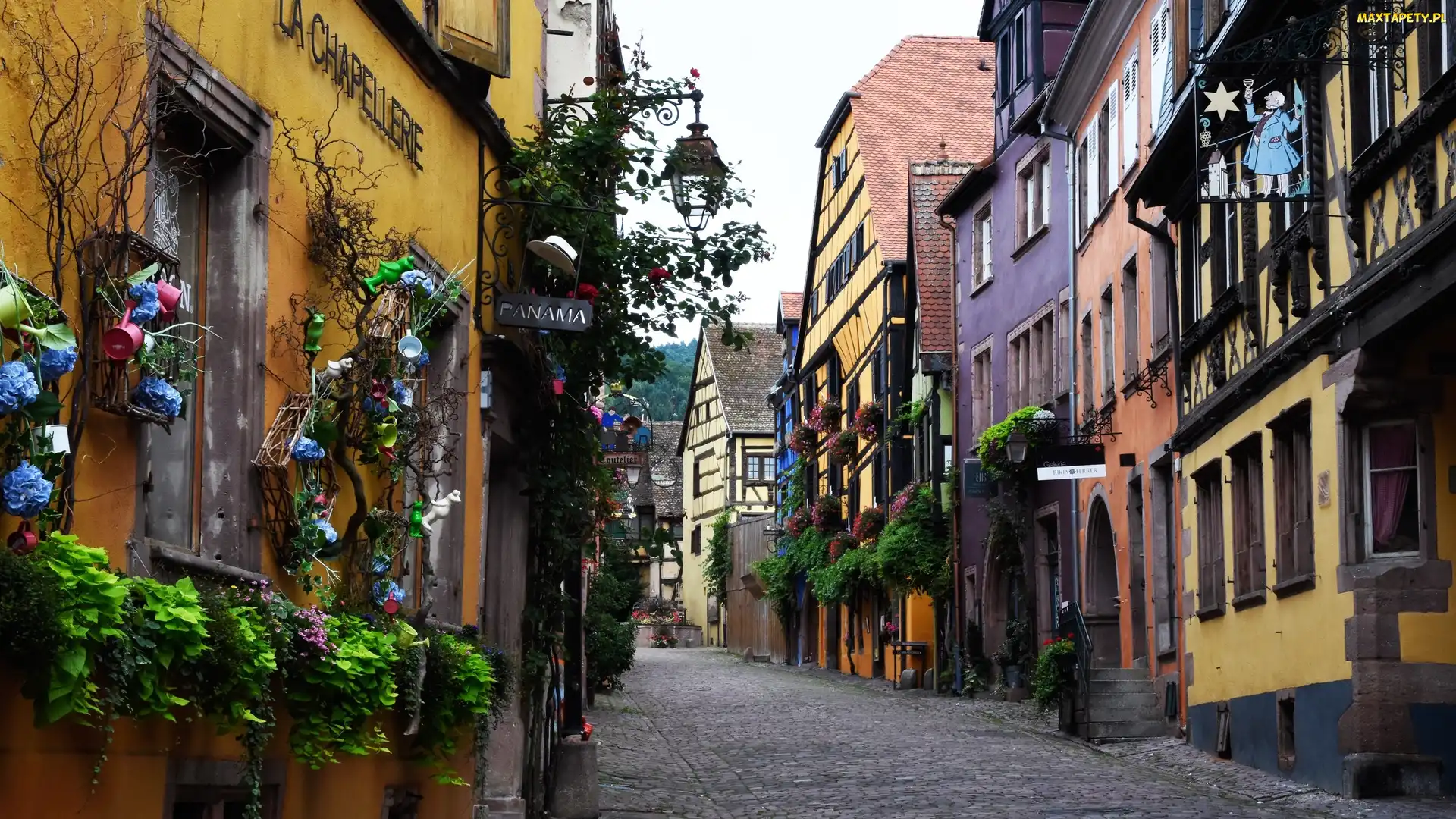 Francja, Kwiaty, Kamienice, Uliczka, Riquewihr