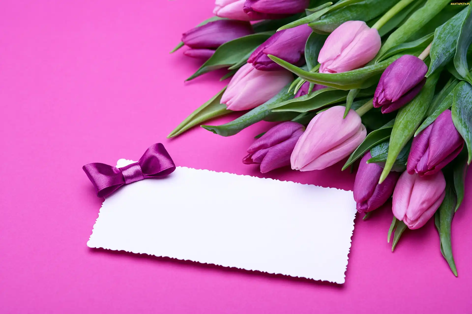 Tulipany, Kokardka, Kartka