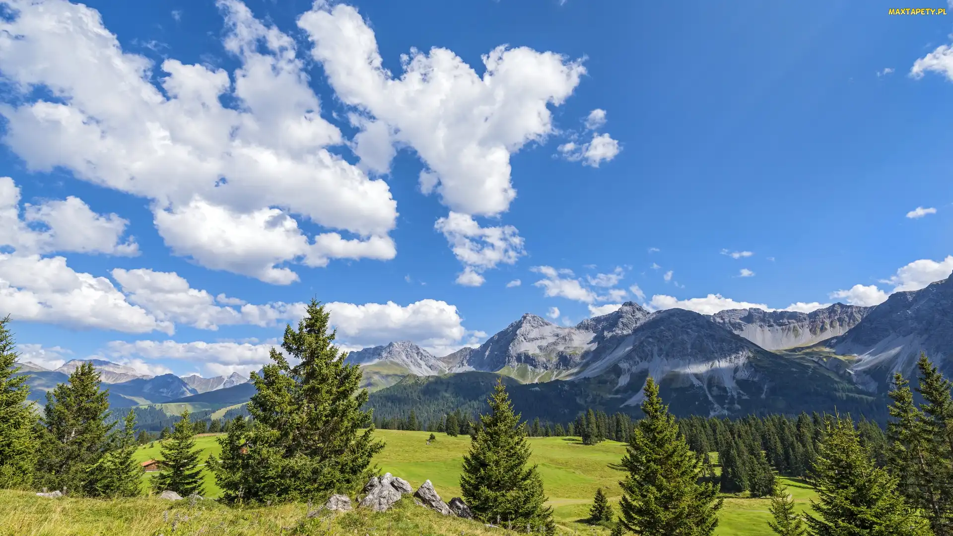 Chmury, Łąki, Davos, Szwajcaria, Góry Albula-Alpen, Drzewa
