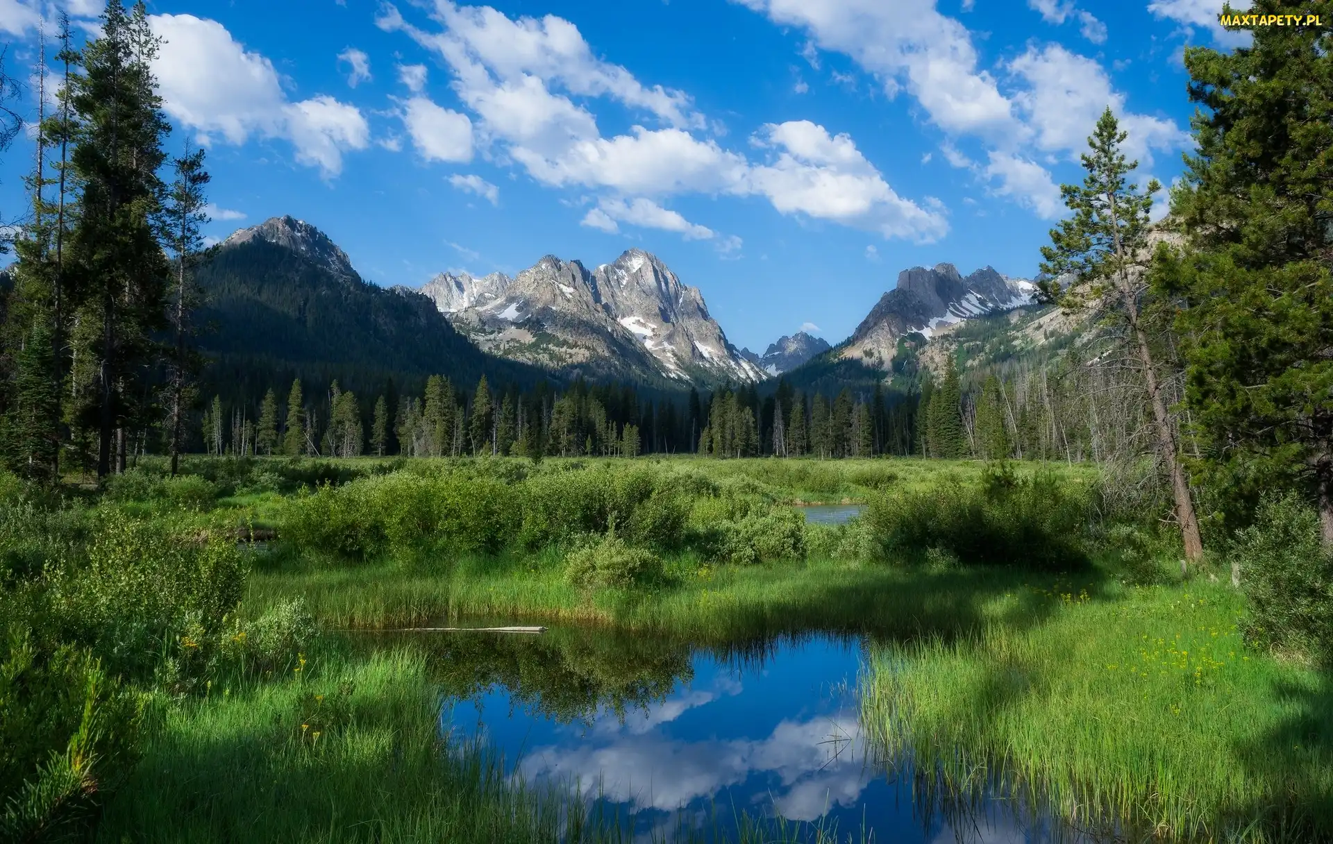 Rozlewiska, Drzewa, Stan Idaho, Trawa, Szczyt Horstmann Peak, Stany Zjednoczone, Góry Sawtooth Range