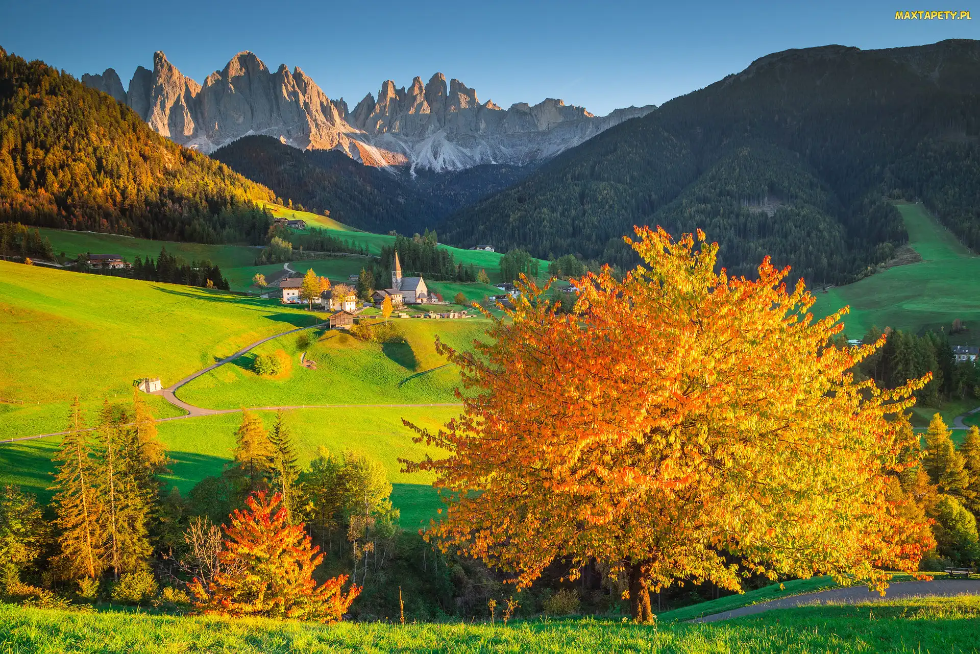 Kościół, Lasy, Masyw Odle, Drzewa, Dolina Val di Funes, Dolomity, Wieś Santa Maddalena, Jesień, Włochy, Góry