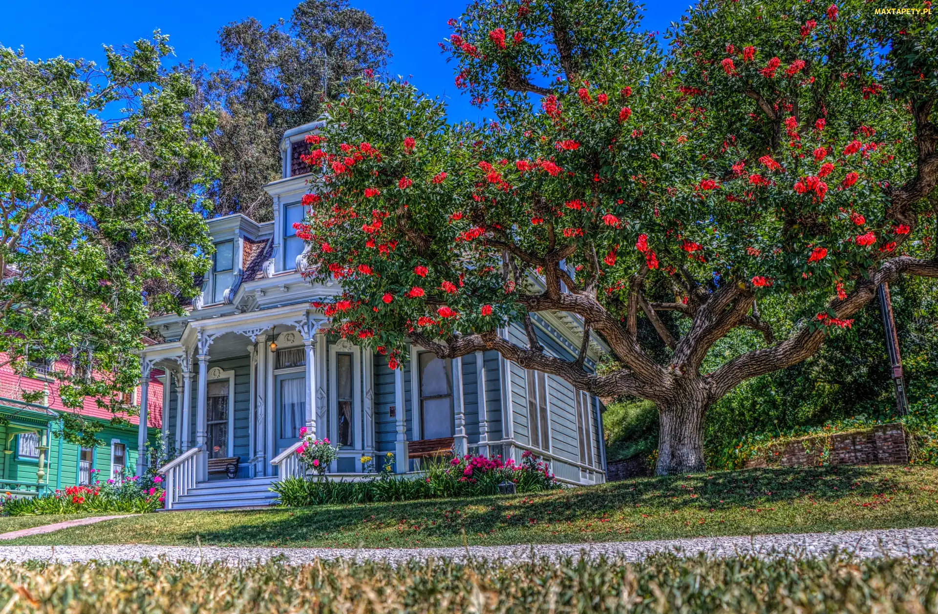 Dom, Los Angeles, Stany Zjednoczone, Drzewa, Valley Knudsen Garden Residence, Rezydencja, Zabytek, Muzeum Dziedzictwa Kulturowego - Heritage Square Museum