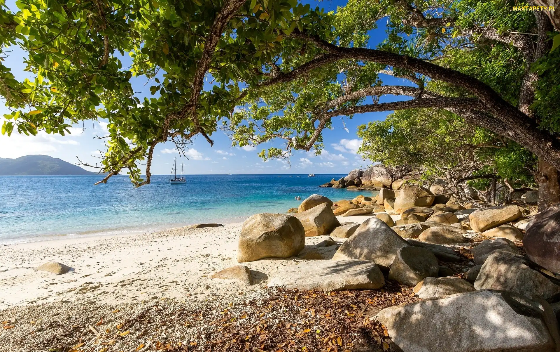 Morze Koralowe, Stan Queensland, Australia, Żaglówka, Kamienie, Plaża, Drzewa, Wyspa Fitzroy