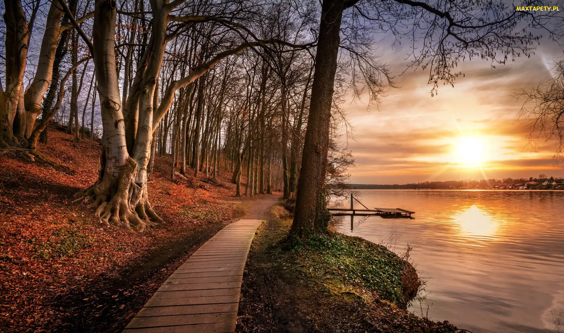 Holandia, Jesień, Pomost, Wschód słońca, Ścieżka, Jezioro, Prowincja Utrecht, Wieś Leersum, Park