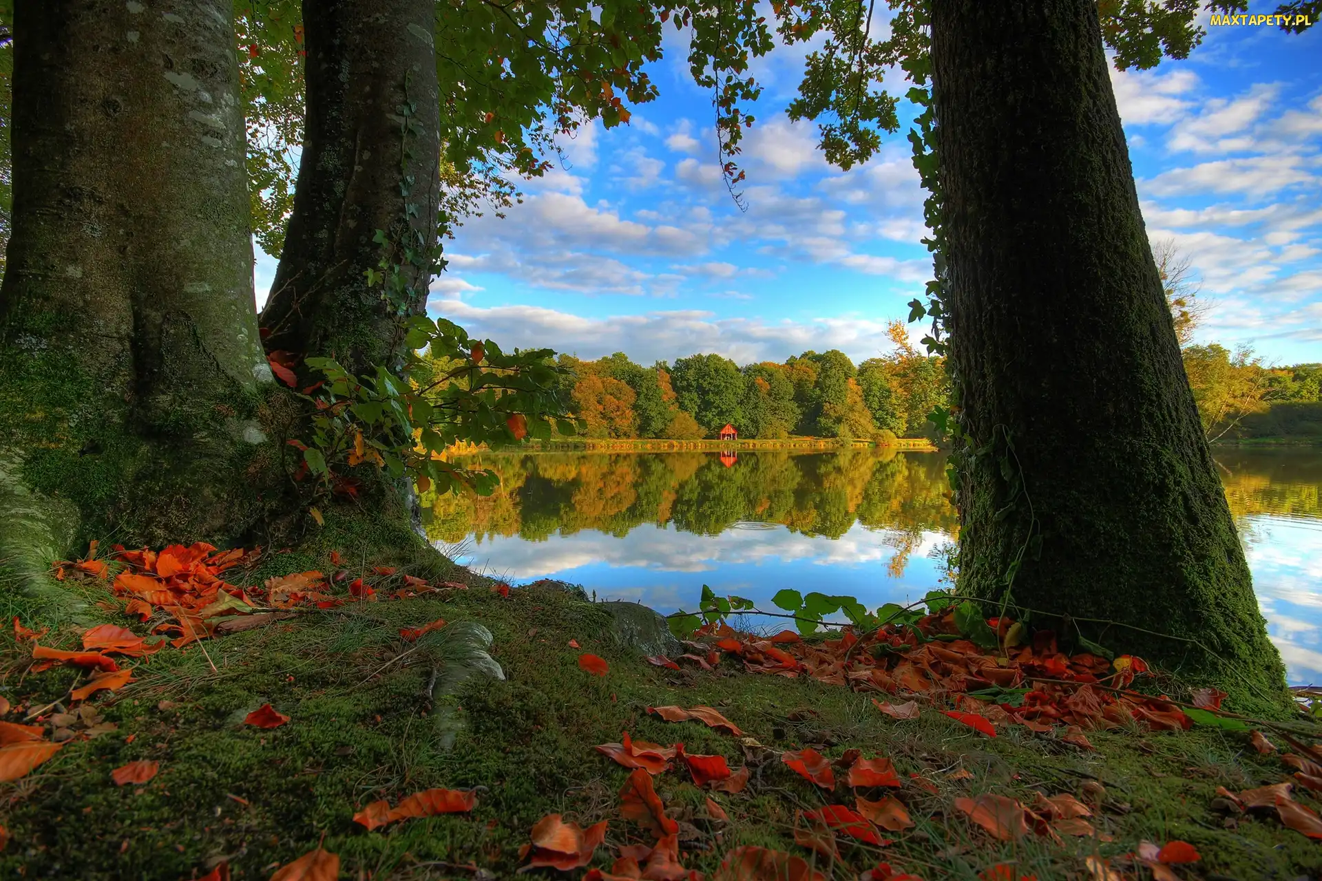 Liście, Altanka, Jezioro, Jesień, Drzewa