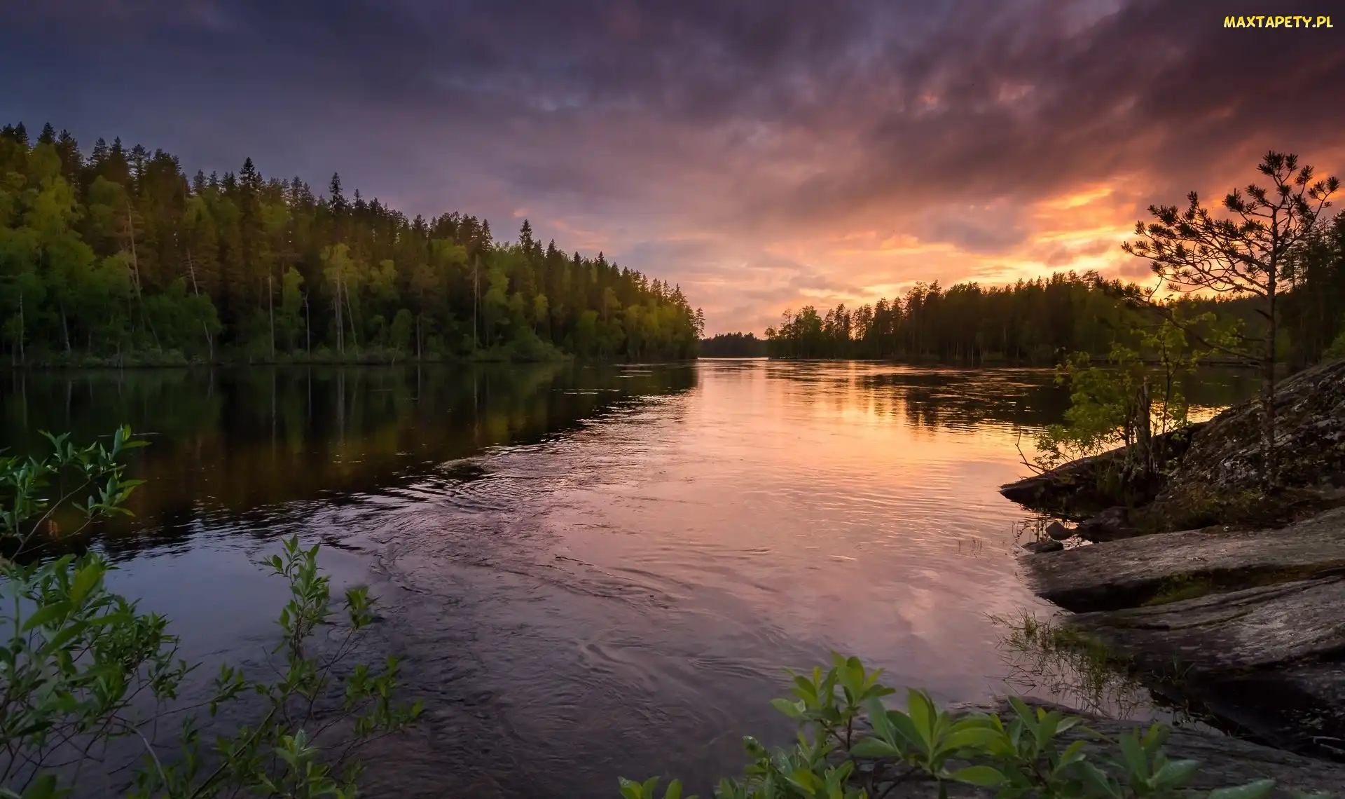 Finlandia, Rzeka Neitijoki, Chmury Rzeka, Drzewa, Zachód słońca, Las