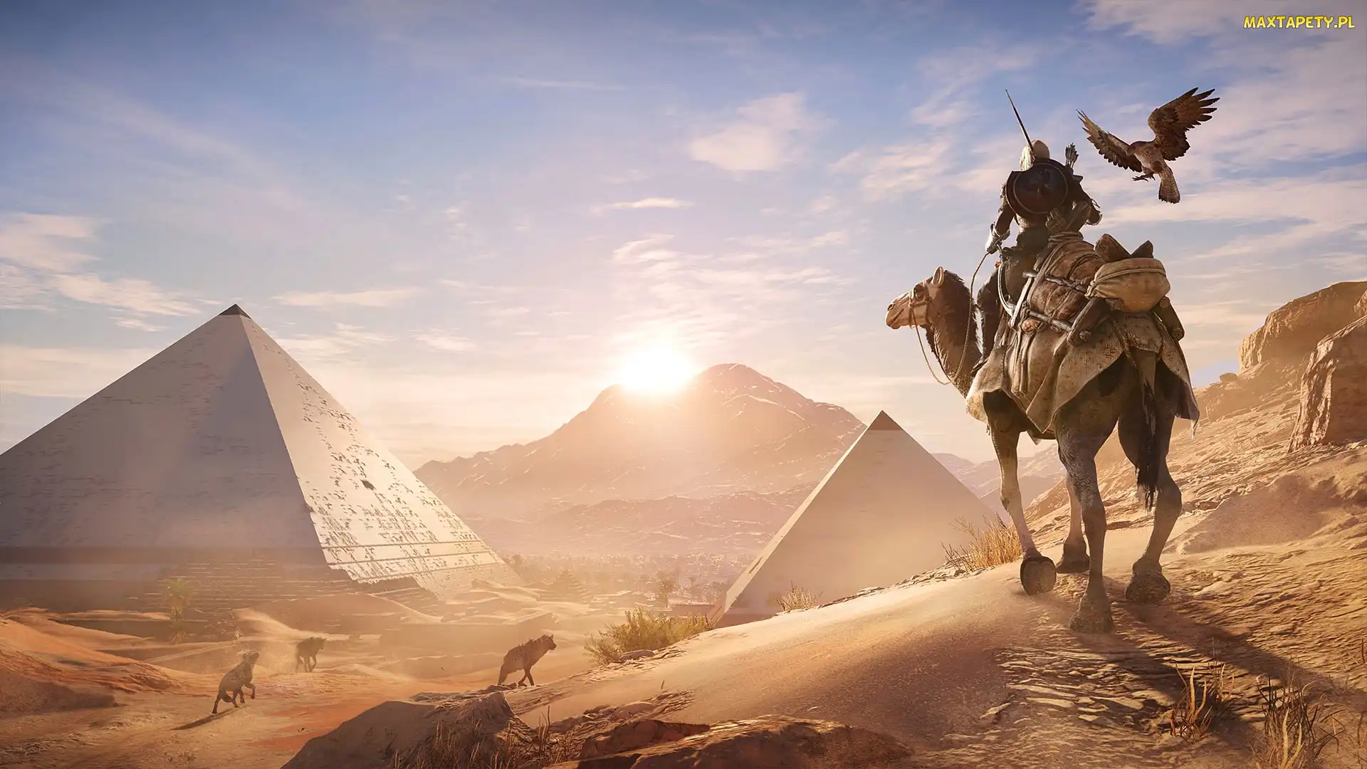 Assassins Creed: Origins, Piramidy, Wielbłąd, Bayek, Gra
