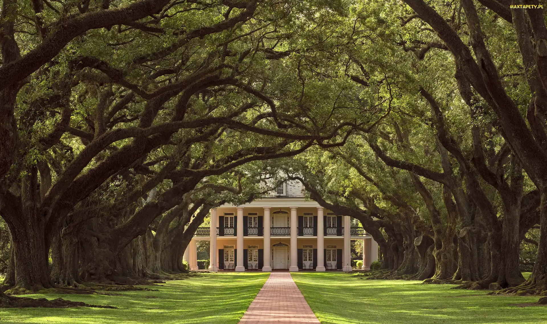 Stany Zjednoczone, Drzewa, Dom, Dęby, Droga, Willa Oak Alley Plantation, Stan Luizjana, Gmina Vacherie, Plantacja Oak Alley Plantation