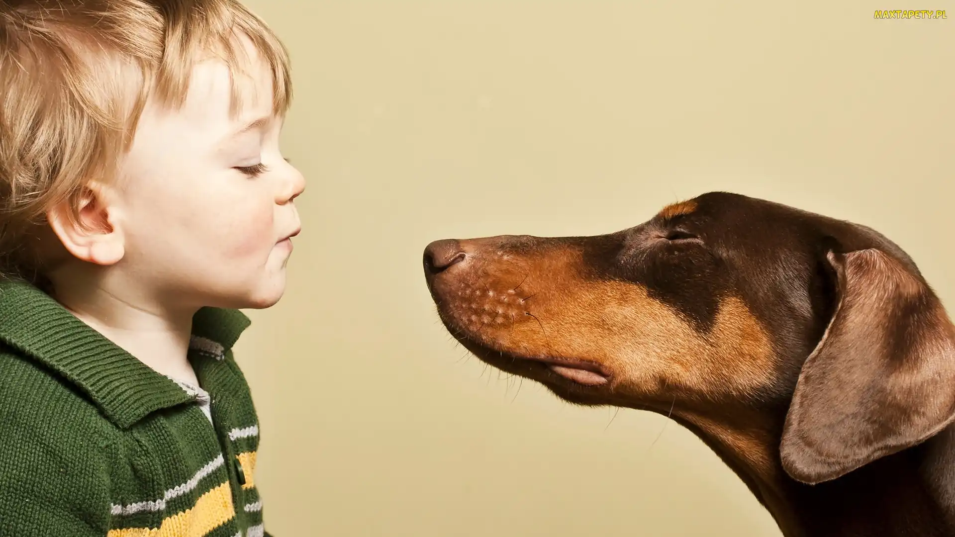 Całus, Doberman, Dziecko, Chłopczyk