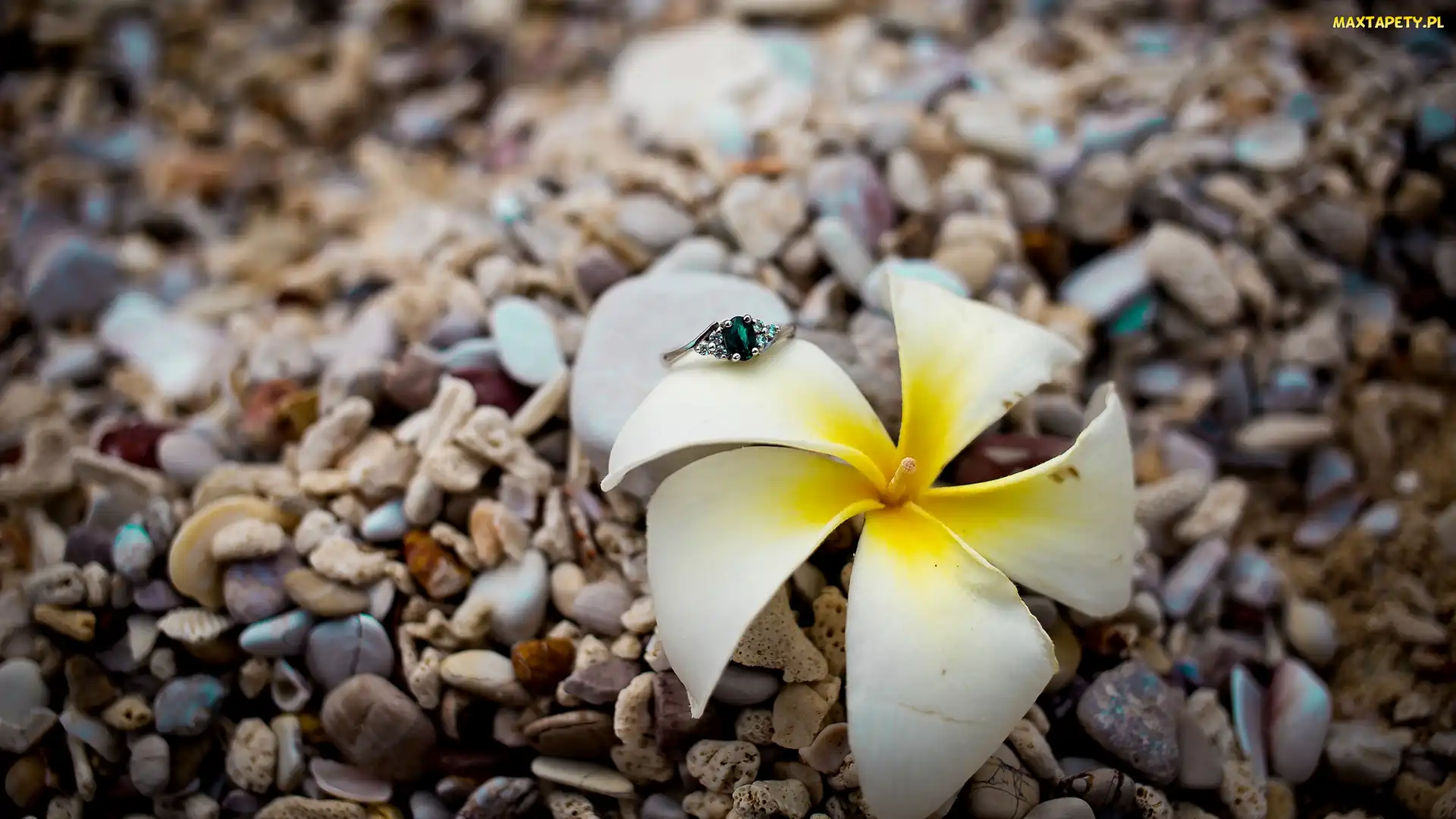 Kwiat, Pierścionek, Kamienie, Plumeria
