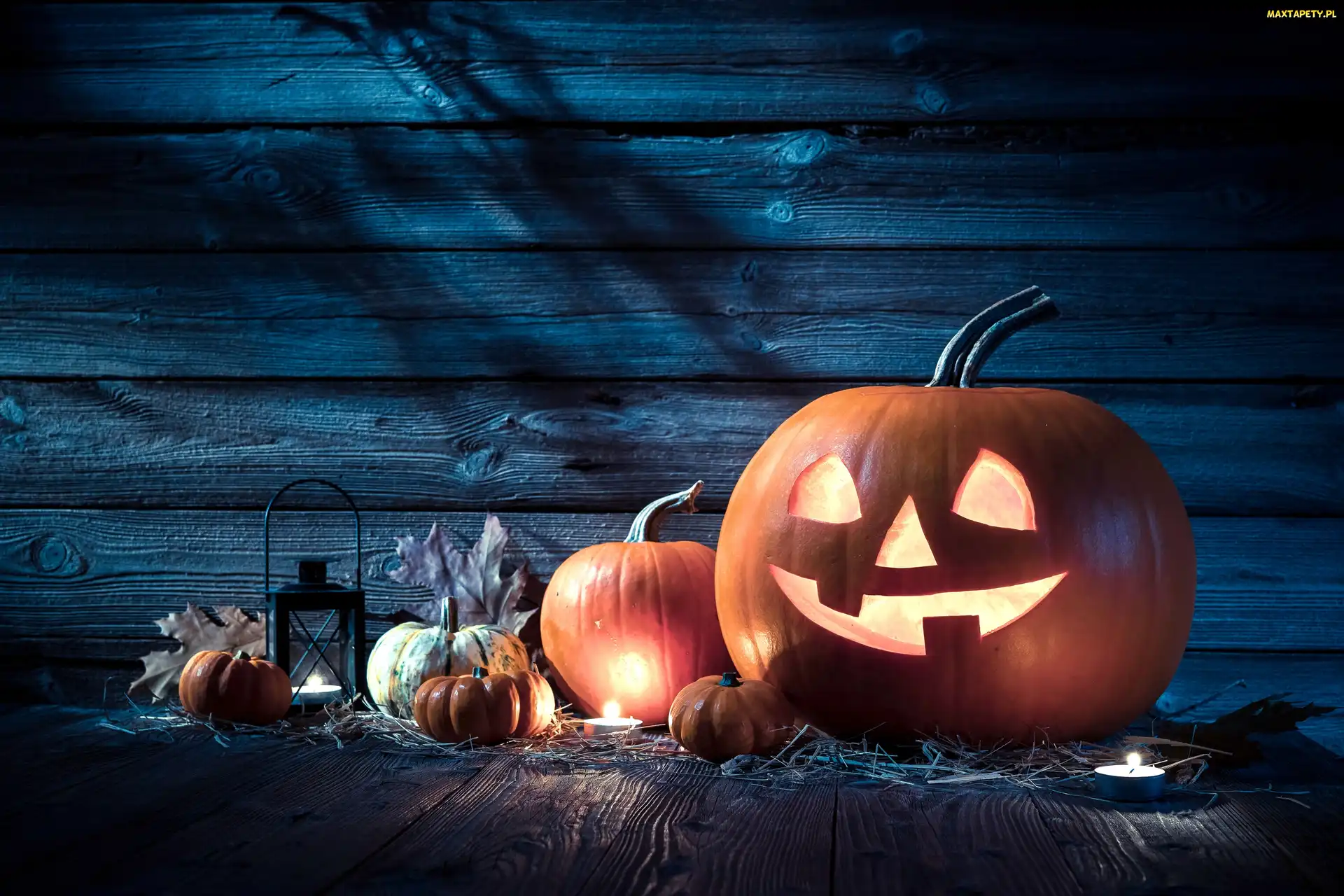 Światło, Dynie, Kompozycja, Halloween