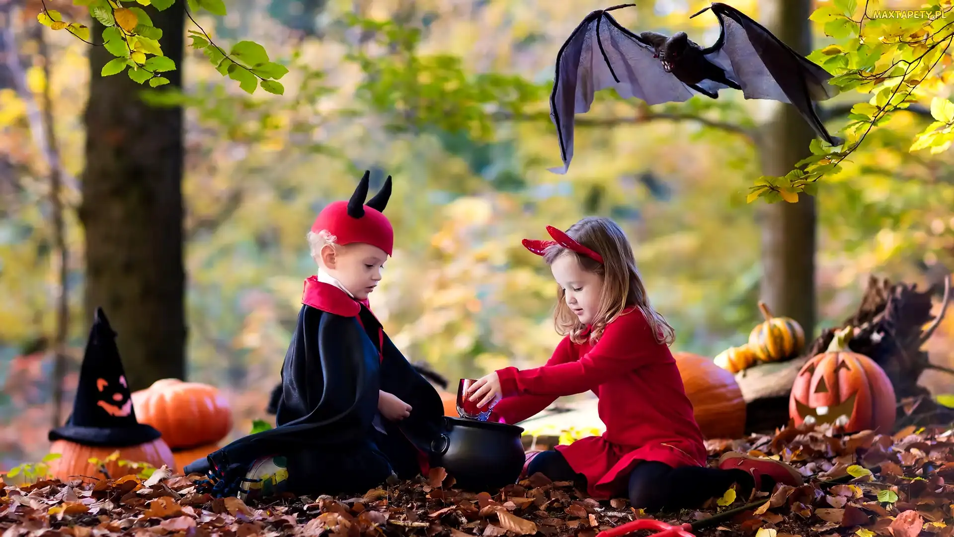 Dynie, Nietoperz, Dzieci, Liście, Kostiumy, Halloween, Kociołek