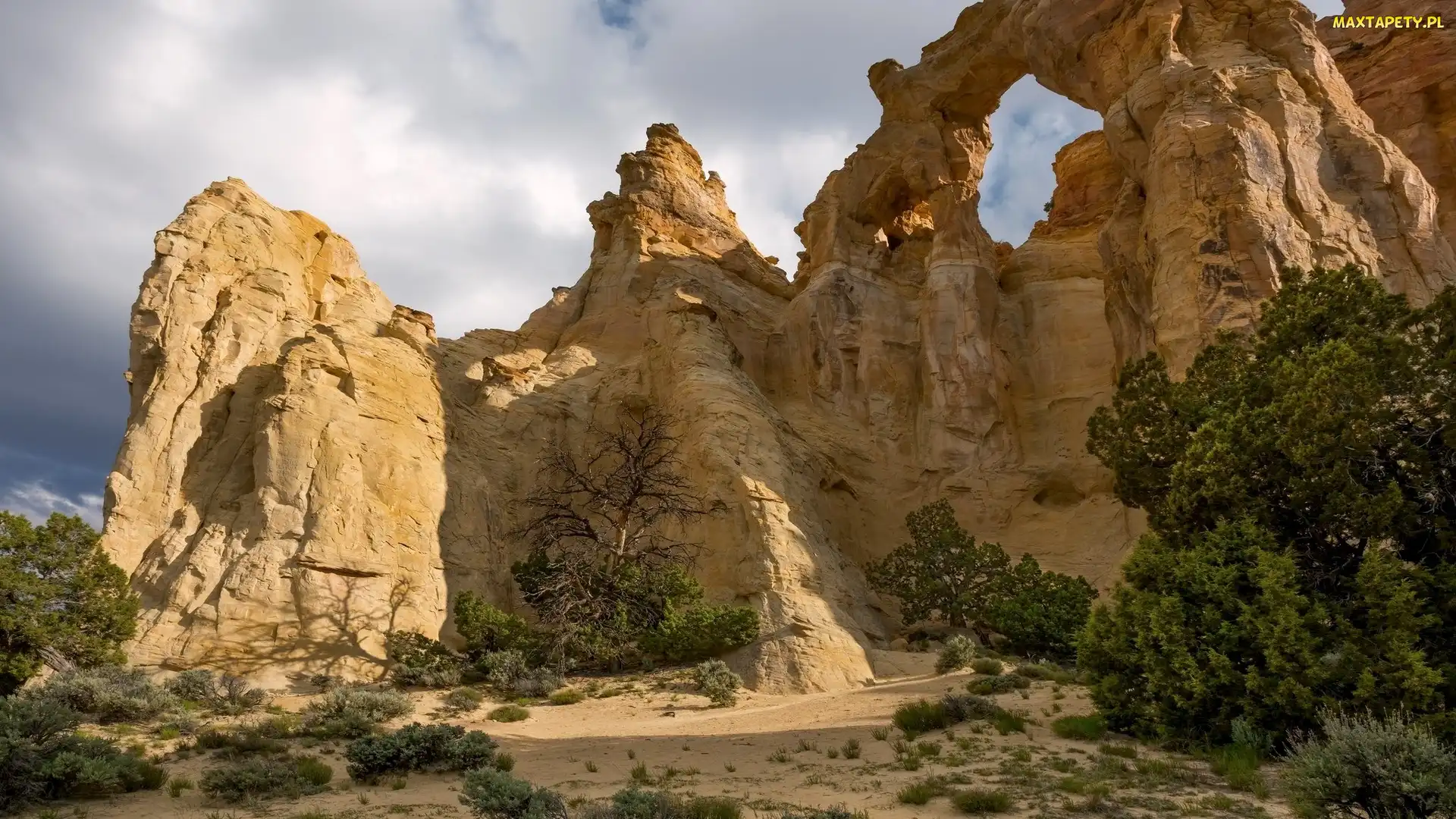 Piaskowiec, Łuk skalny Grosvenor Arch, Stan Utah, Rośliny, Hrabstwo Kane, Stany Zjednoczone, Pomnik Narodowy Grand Staircase-Escalante National Monument