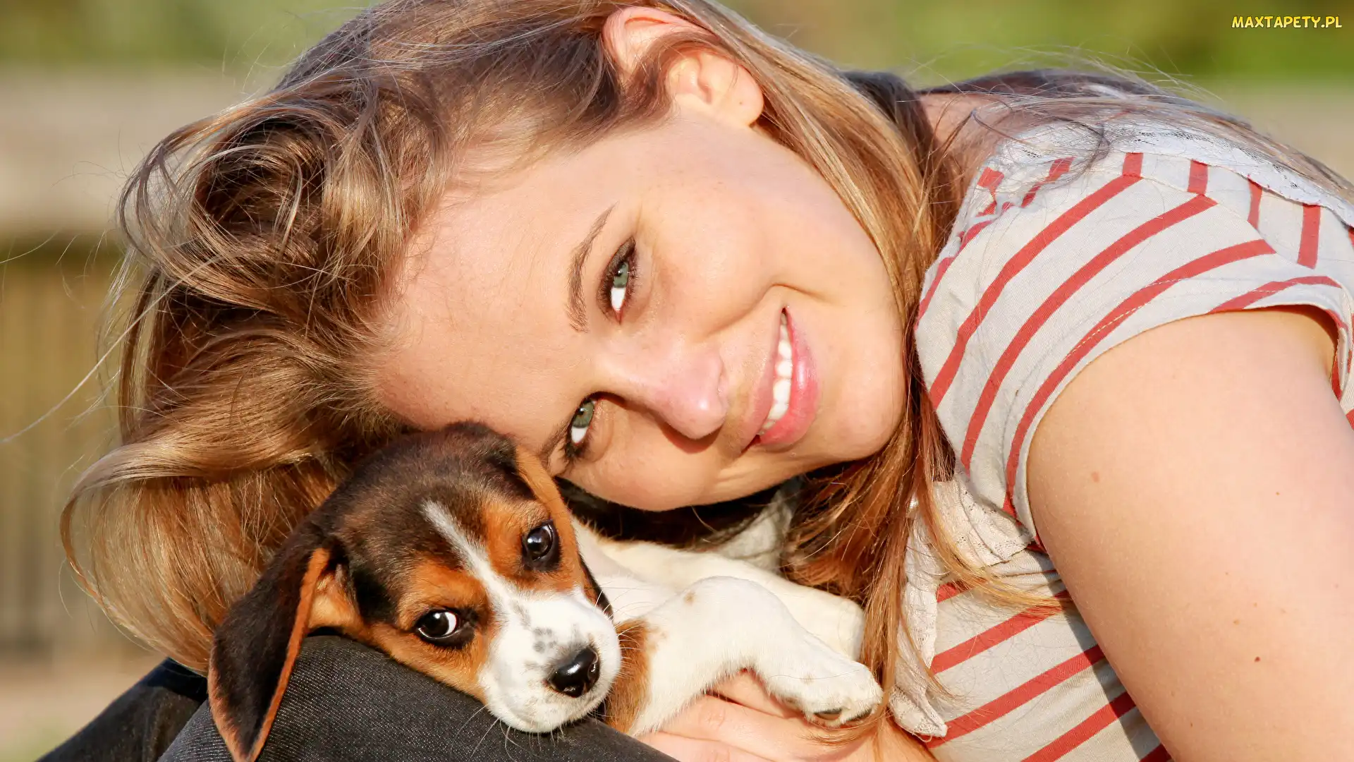 Beagle, Szczeniak, Uśmiechnięta, Blondynka