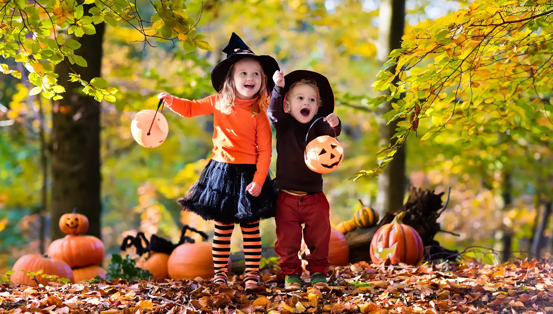 Dynie, Las, Halloween, Dzieci