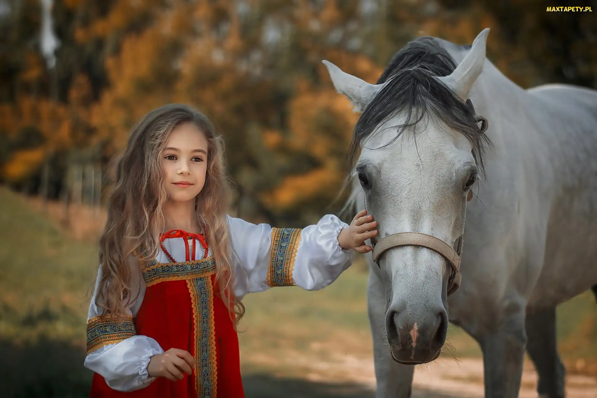 Długie, Uzda, Koń, Włosy, Dziewczynka