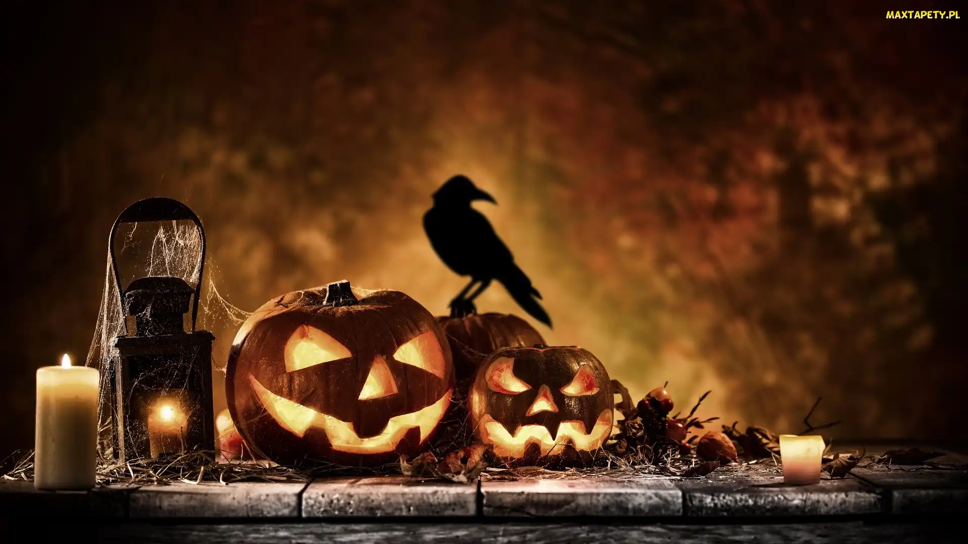 Dynie, Ptak, Lampion, Świece, Halloween