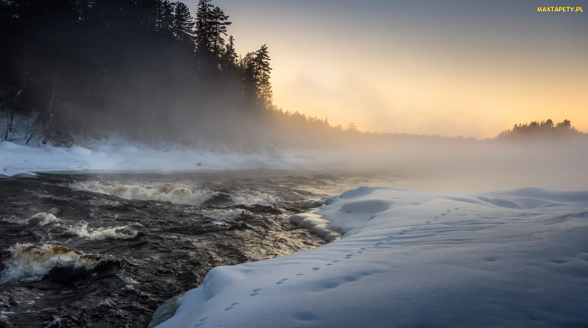 Karelia Północna, Rzeka Neitikoski Rapid, Finlandia, Ruunaa, Mgła, Miasto Lieksa, Drzewa, Zima