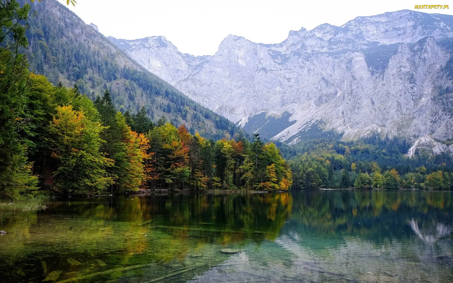 Drzewa, Jezioro Hinterer Langbathsee, Gmina Ebensee, Odbicie, Góry, Austria, Jesień