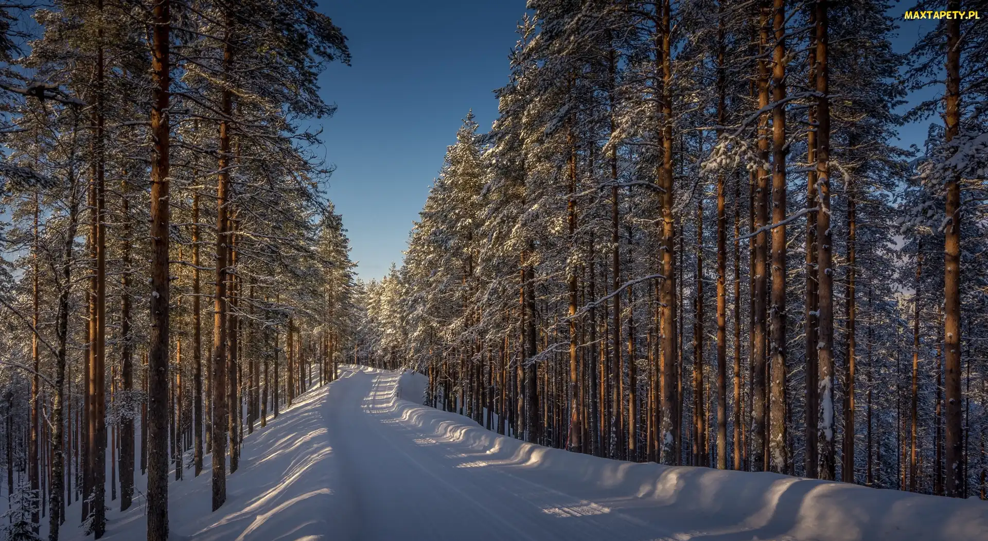 Droga, Las, Prowincja Finlandia Wschodnia, Drzewa, Zima, Finlandia, Lieksa