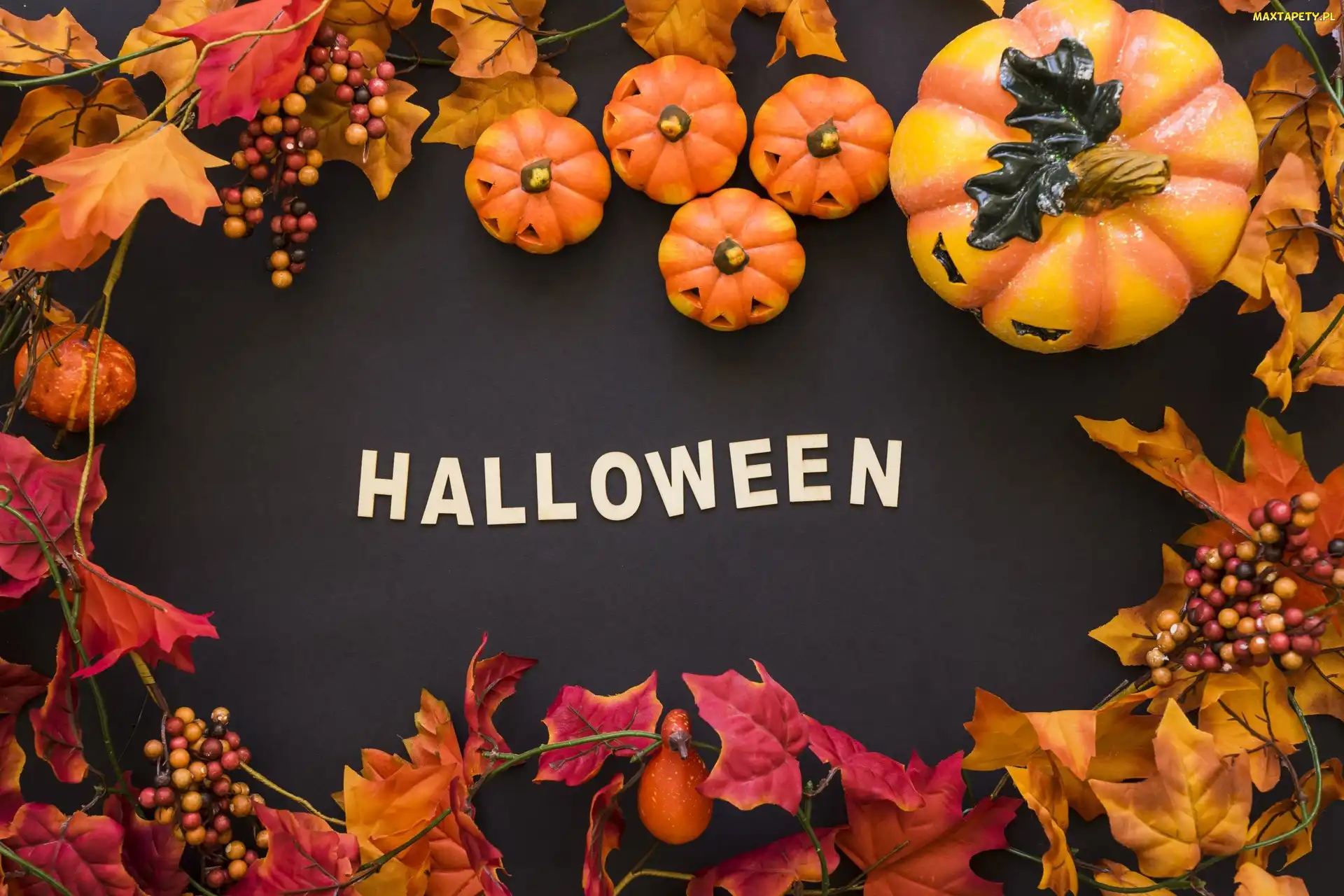 Dynie, Liście, Halloween