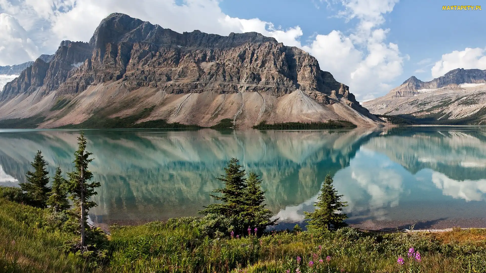 Roślinność, Góra Crowfoot Mountain, Prowincja Alberta, Kanada, Park Narodowy Banff, Jezioro Bow Lake