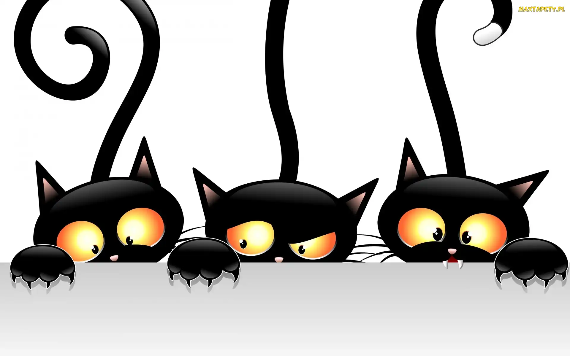 Grafika 2D, Koty, Czarne