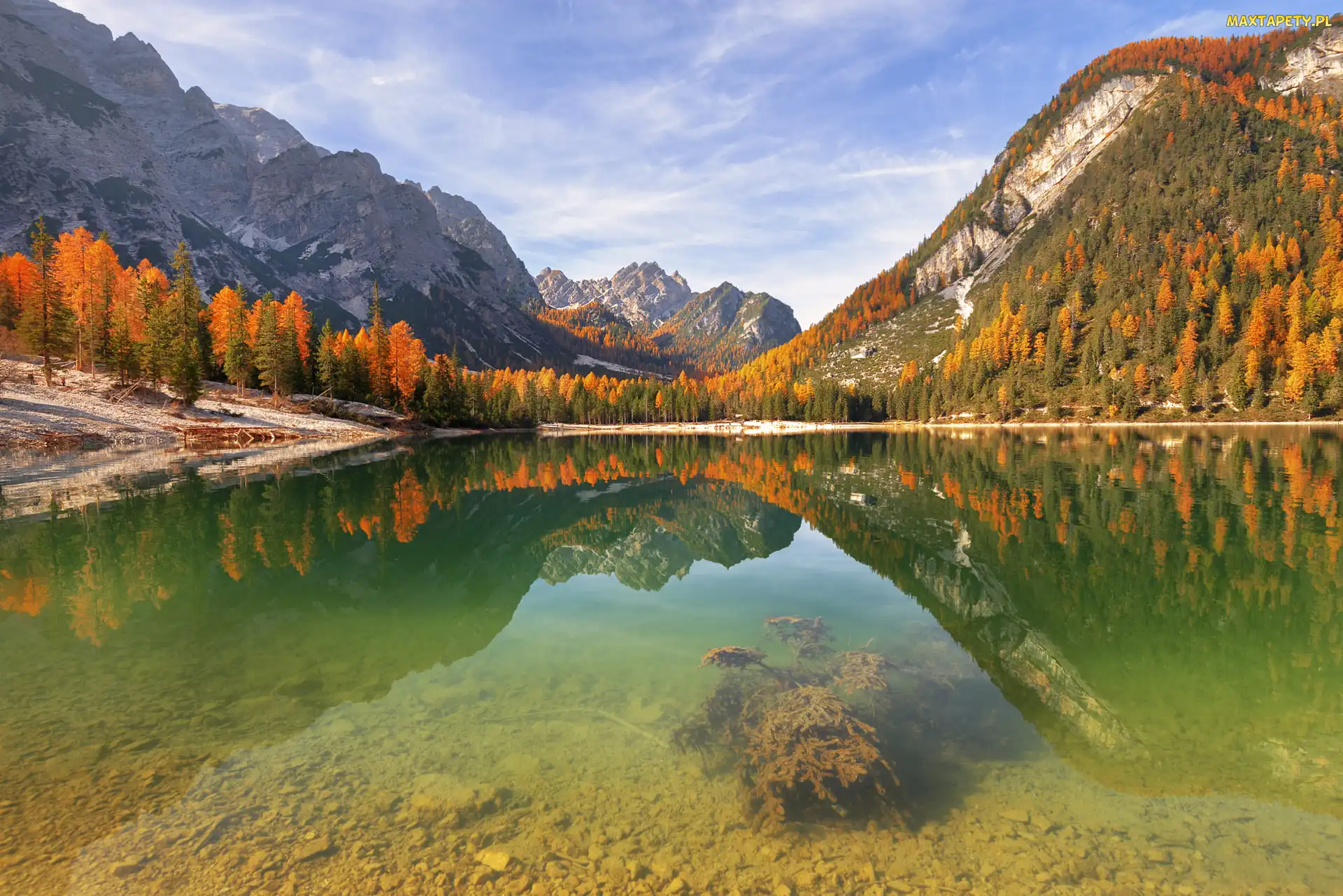 Drzewa, Jesień, Jezioro Pragser Wildsee, Odbicie, Dolomity, Włochy, Góry