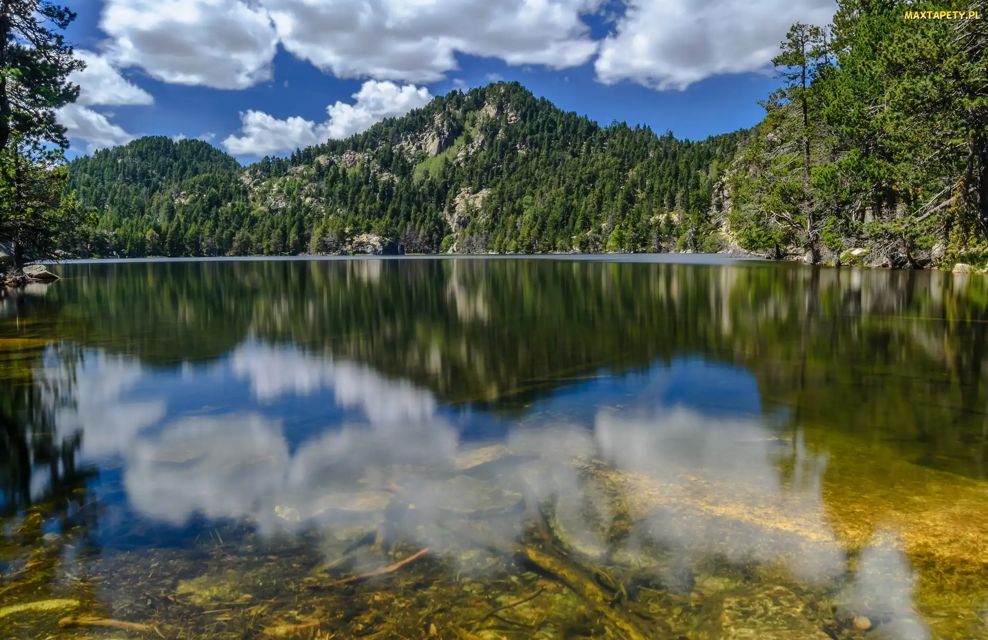 Francja, Góry Pireneje, Odbicie, Jezioro, Świerki, Masyw Massif del Carlit