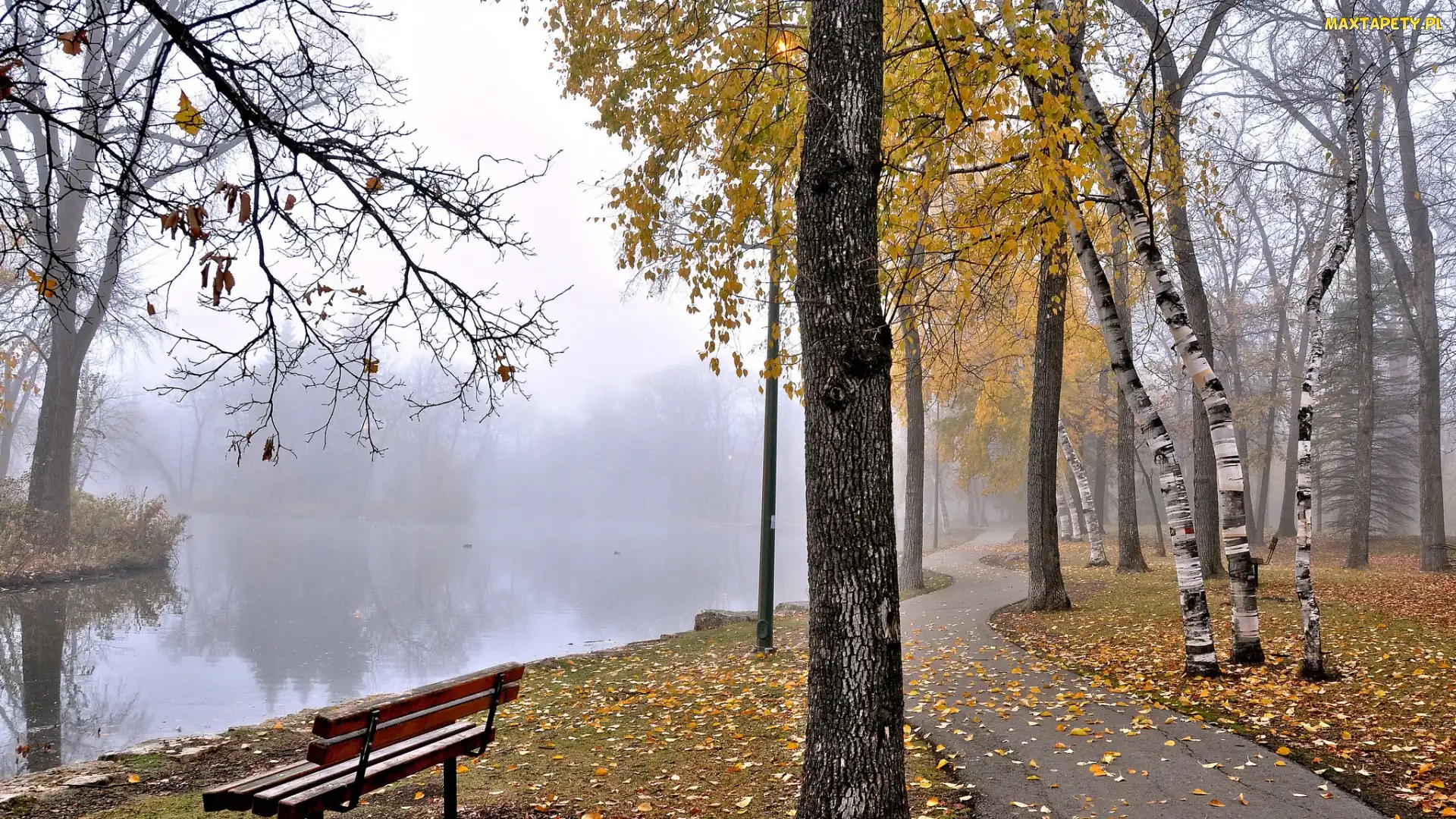 Jesień, Park, Staw, Mgła, Ławka, Drzewa
