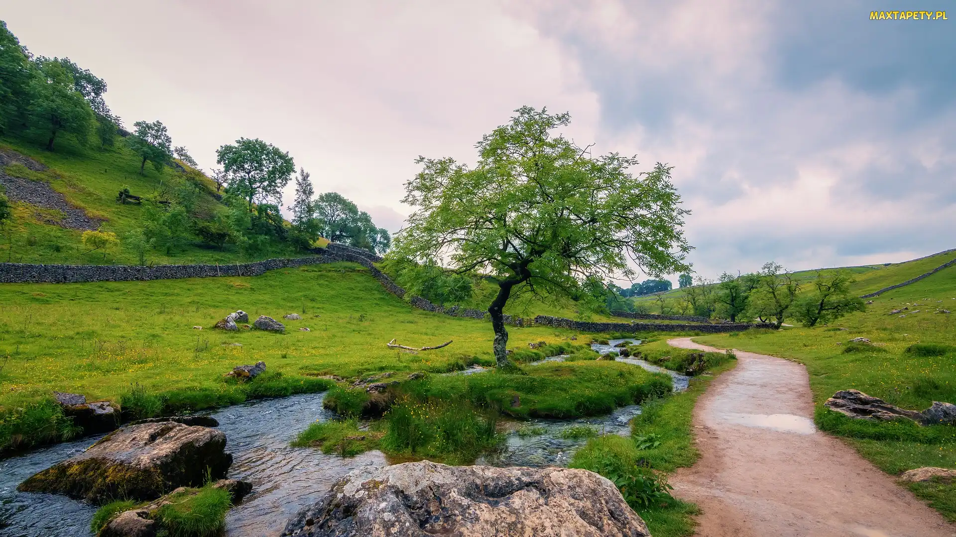 Hrabstwo North Yorkshire, Rzeka, Anglia, Droga, Łąka, Park Narodowy Yorkshire Dales, Wzgórza, Drzewa