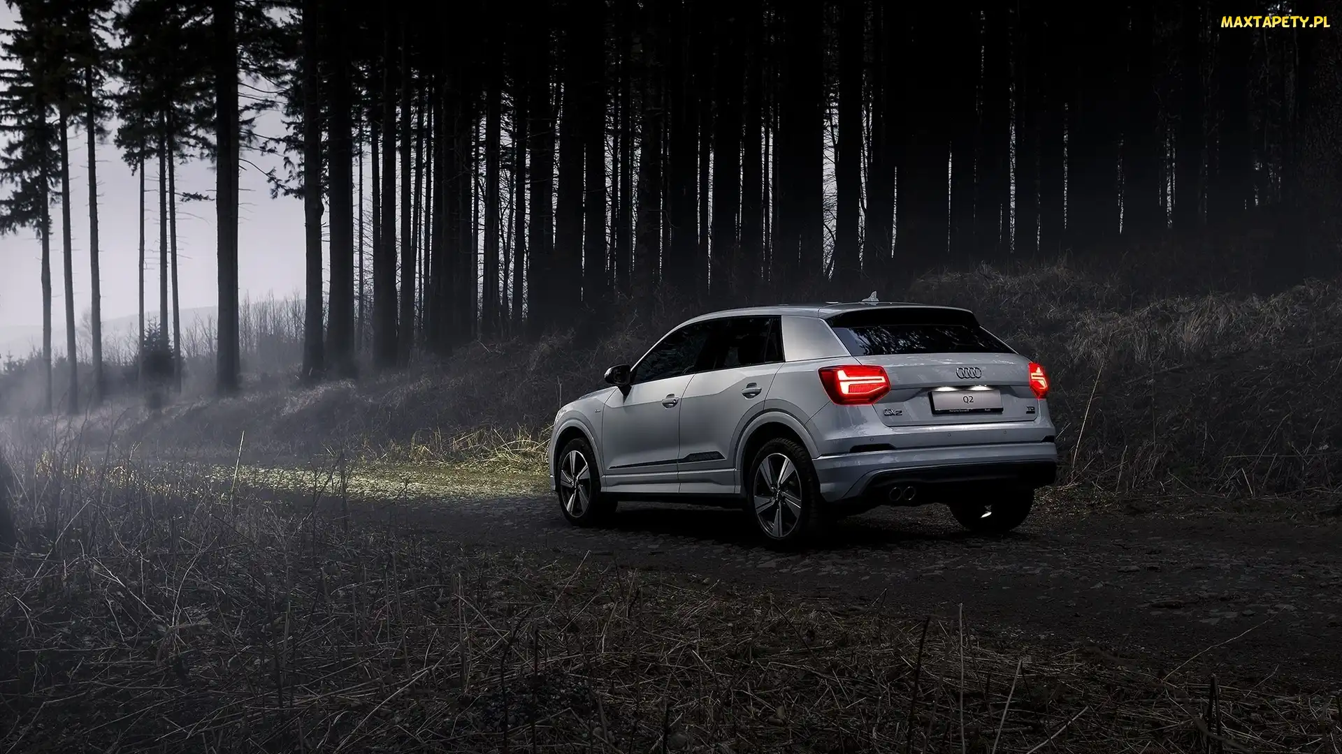 2017, Las, Audi Q2 S-Line