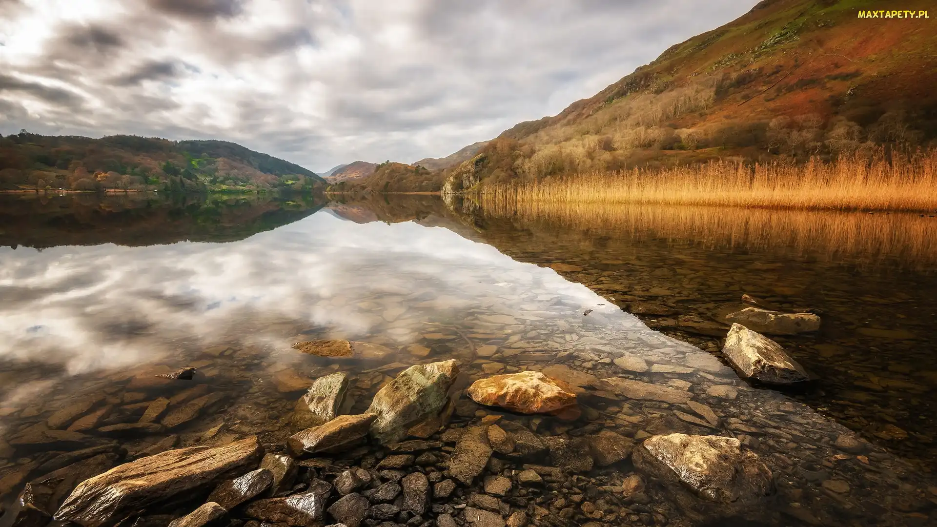 Wzgórza, Kamienie, Park Narodowy Snowdonia, Drzewa, Jesień, Walia, Jezioro Llyn Gwynant