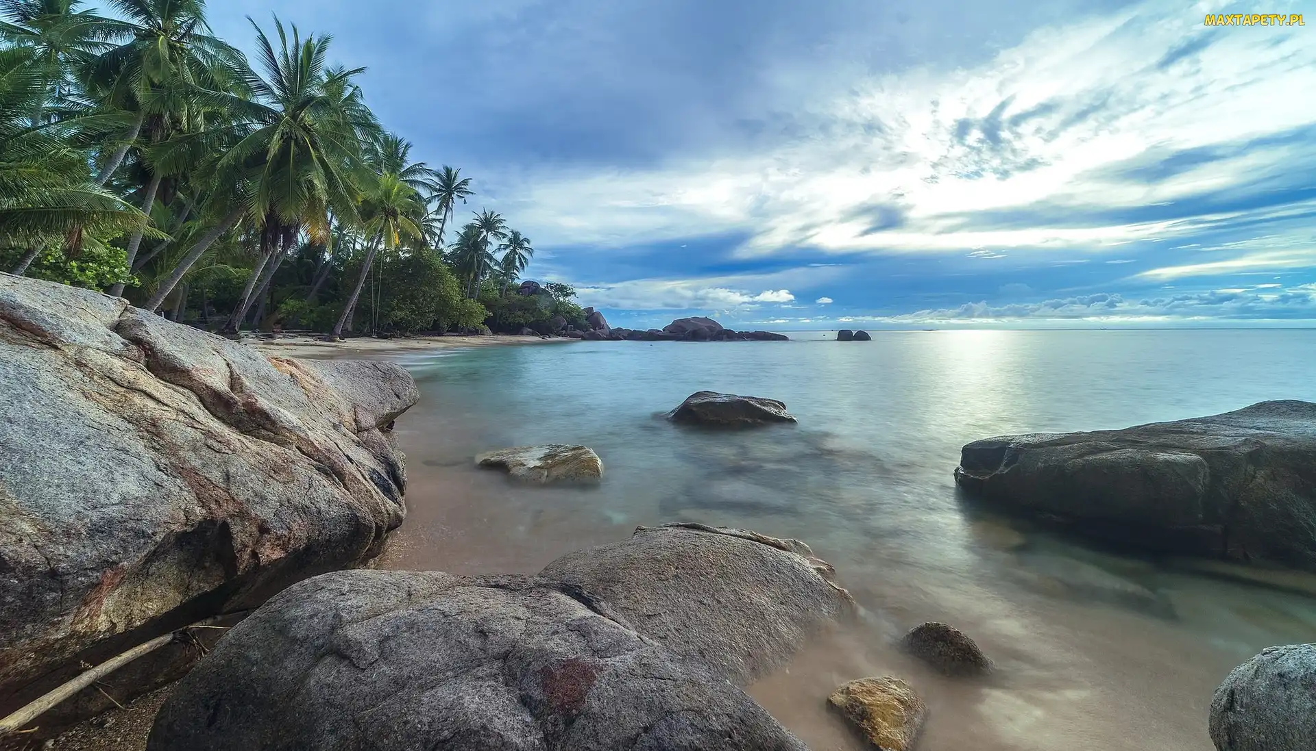 Ocean Spokojny, wyspa Ko Tao, Tajlandia, Prowincja Surat Thani, Kamienie, Zatoka Tajlandzka, Palmy, Morze
