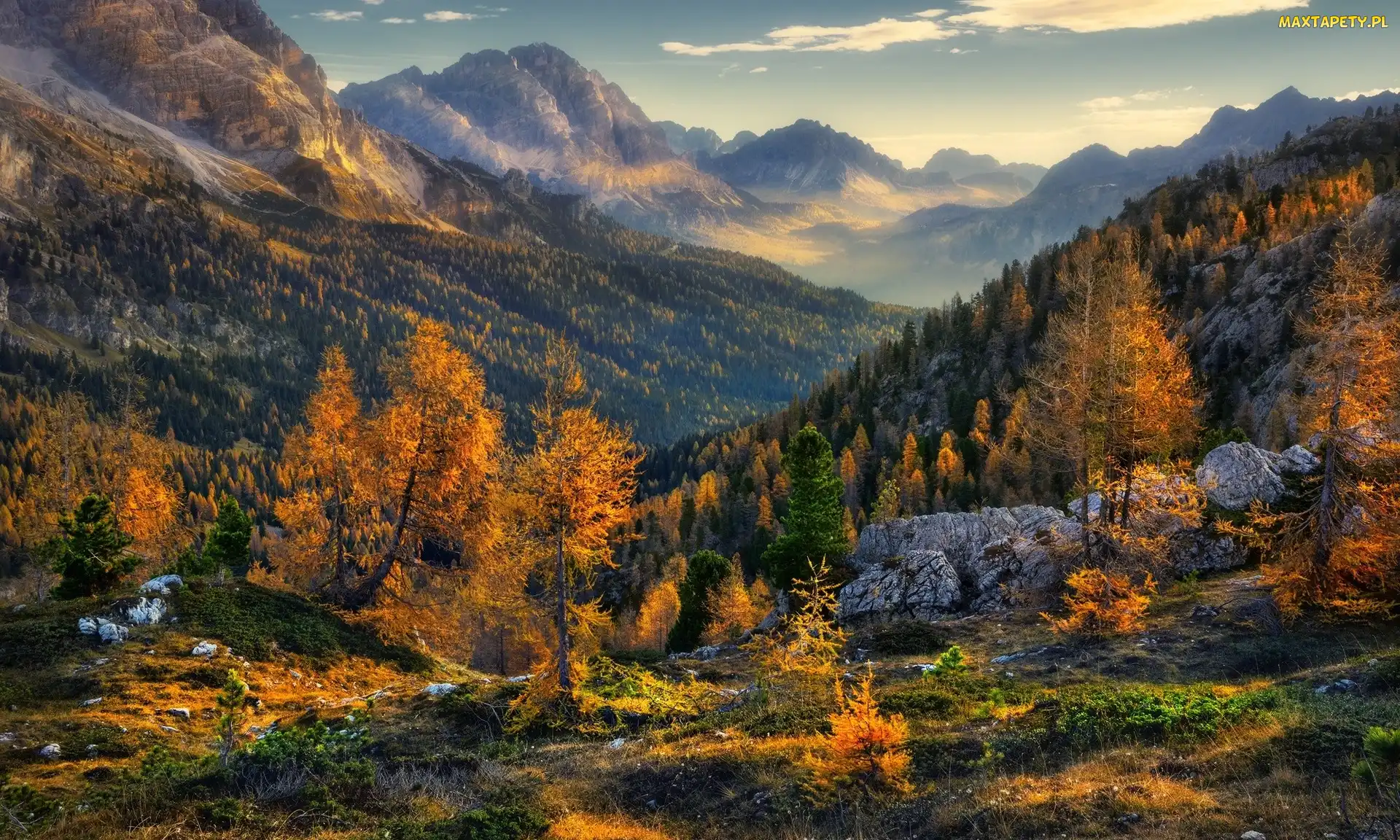 Kamienie, Góry, Alpy, Świerki, Jesień, Włochy, Dolomity
