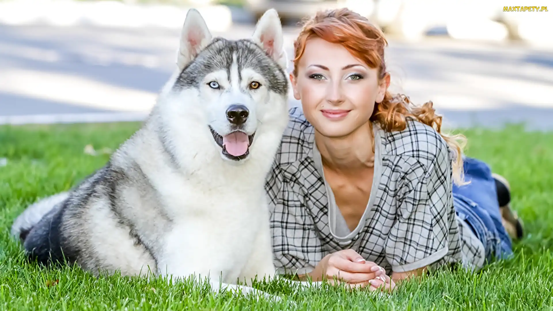 Pies, Uśmiech, Kobieta, Siberian husky