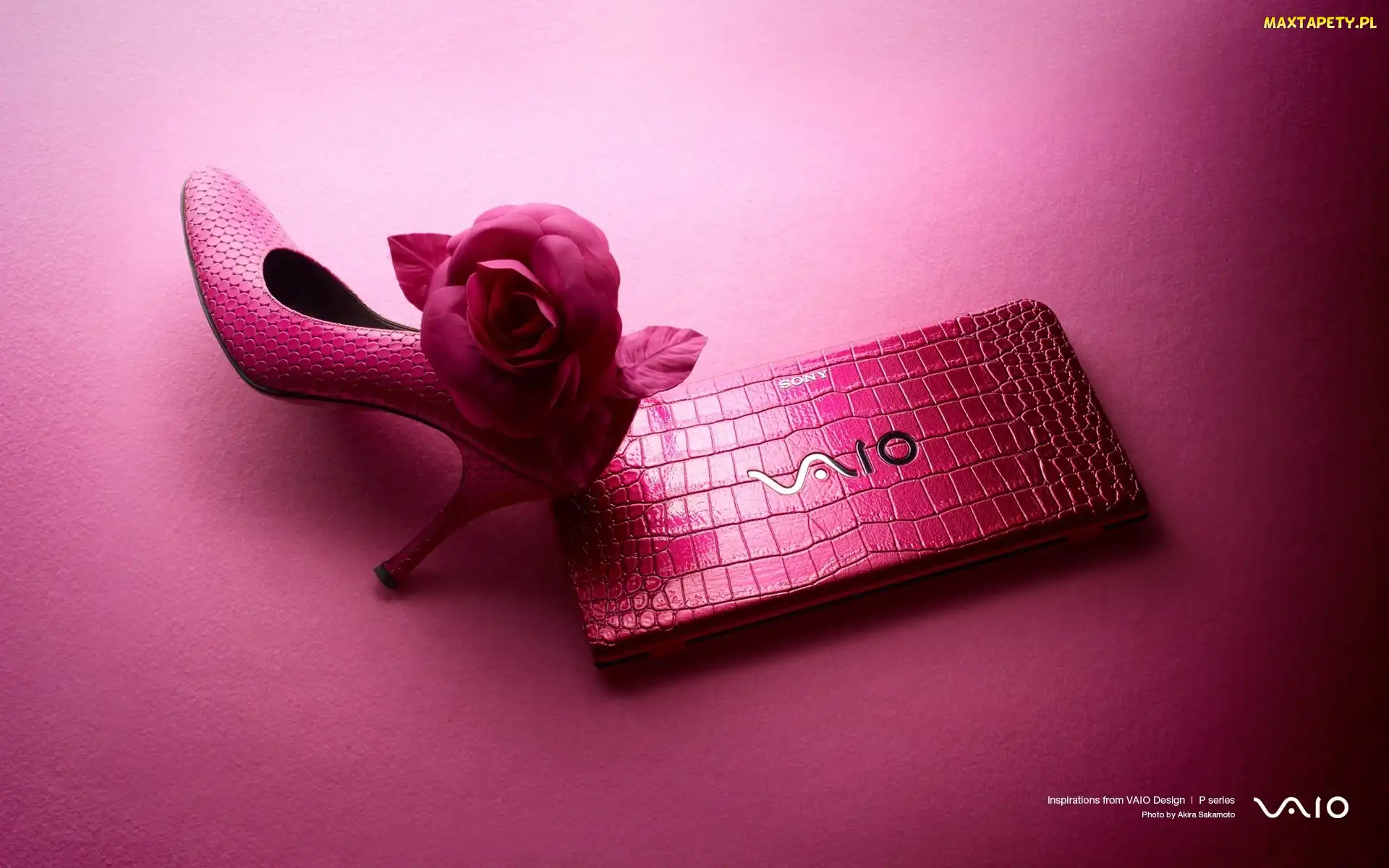 Seria P, But, Etui, Logo, VAIO