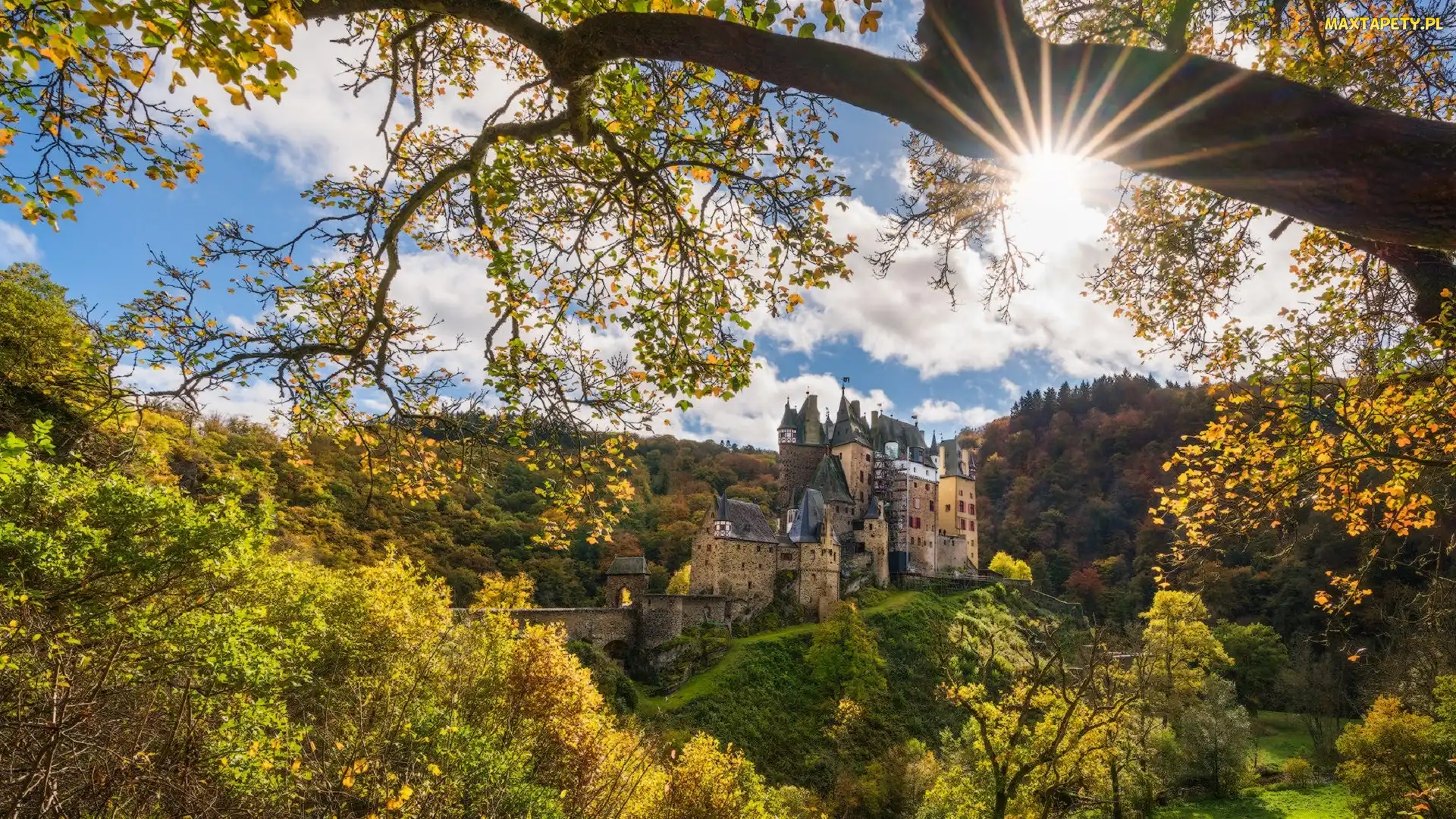 Gmina Wierschem, Zamek Eltz Kotlina, Nadrenia-Palatynat, Niemcy, Promienie słońca, Las, Jesień, Drzewa, Góry Eifel