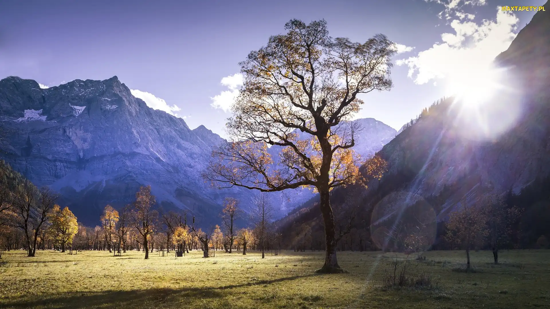 Łąka, Promienie, Słońce, Drzewa, Alpejski Park Krajobrazowy Karwendel, Góry Karwendel, Dolina Rißtal, Pastwisko alpejskie Großer Ahornboden, Austria, Drzewa