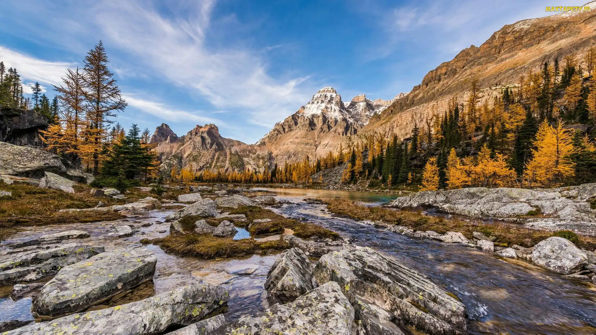 Kamienie, Kolumbia Brytyjska, Strumień, Park Narodowy Yoho, Kanada, Góra Mount Huber, Drzewa, Góry, Rzeka, Płaskowyż Opabin Plateau