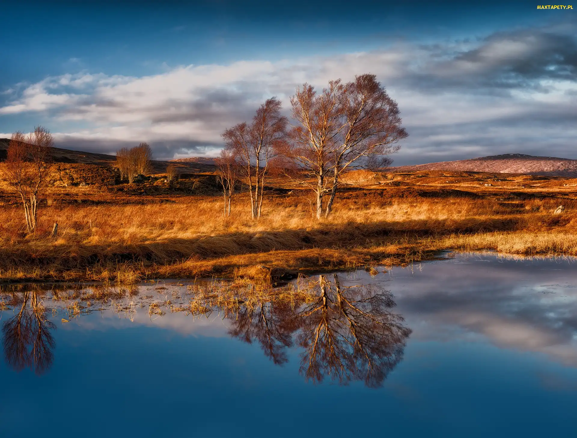 Drzewa, Jesień, Region Highlands, Szkocja, Góry Rannoch Moor, Jezioro Loch Bà