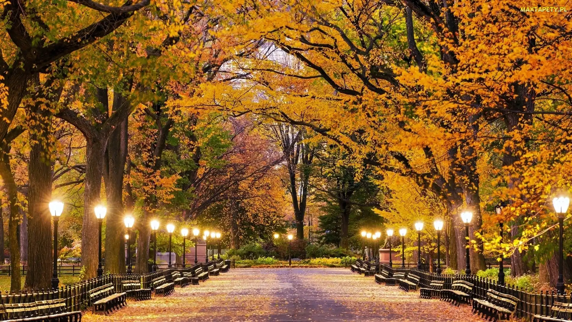 Latarnie, Ławeczki, Nowy Jork, Jesień, Aleja, Stany Zjednoczone, Central Park