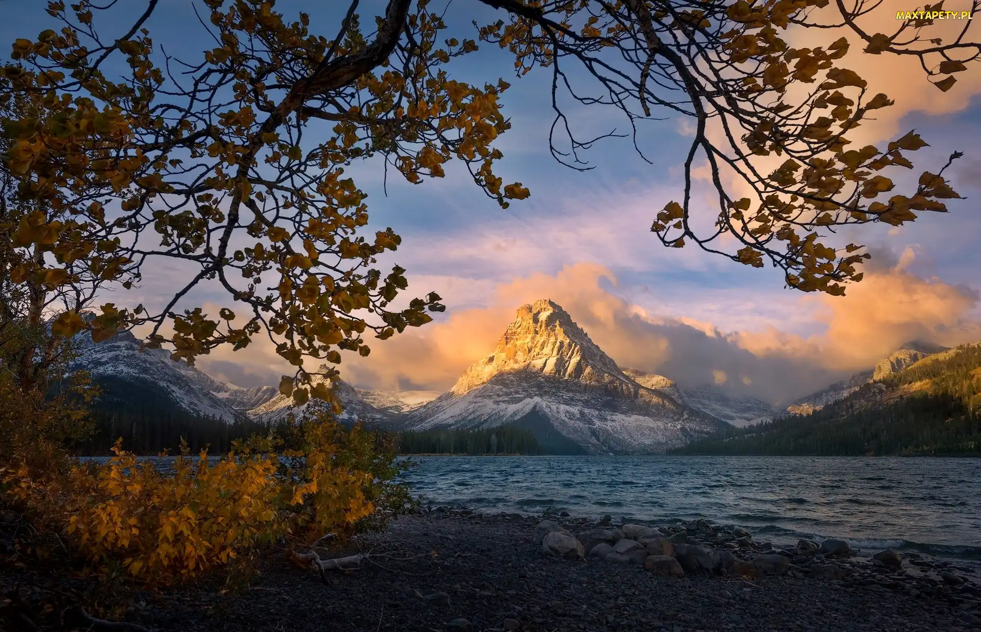 Stany Zjednoczone, Gałęzie, Jezioro, Drzewa, Two Medicine Lake, Szczyt Sinopah Mountain, Stan Montana, Park Narodowy Glacier, Góry Lewis Range