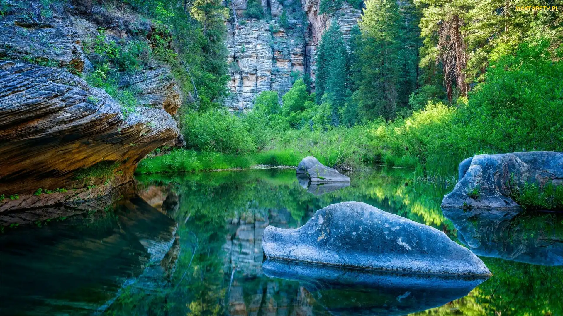 Drzewa, Kamienie, Arizona, Skały, Wąwóz West Clear Creek Canyon, Stany Zjednoczone, Obszar West Clear Creek Wilderness