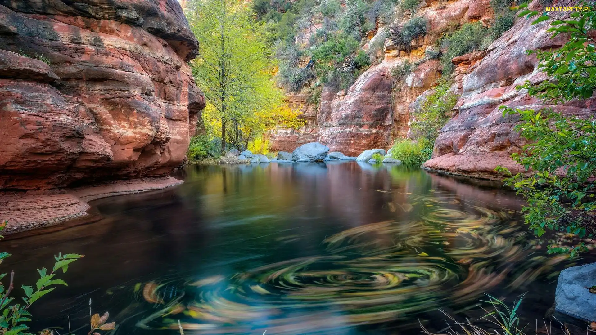 Skały, Rzeka Oak Creek, Arizona, Drzewa, Wąwóz Oak Creek Canyon, Stany Zjednoczone, Sedona