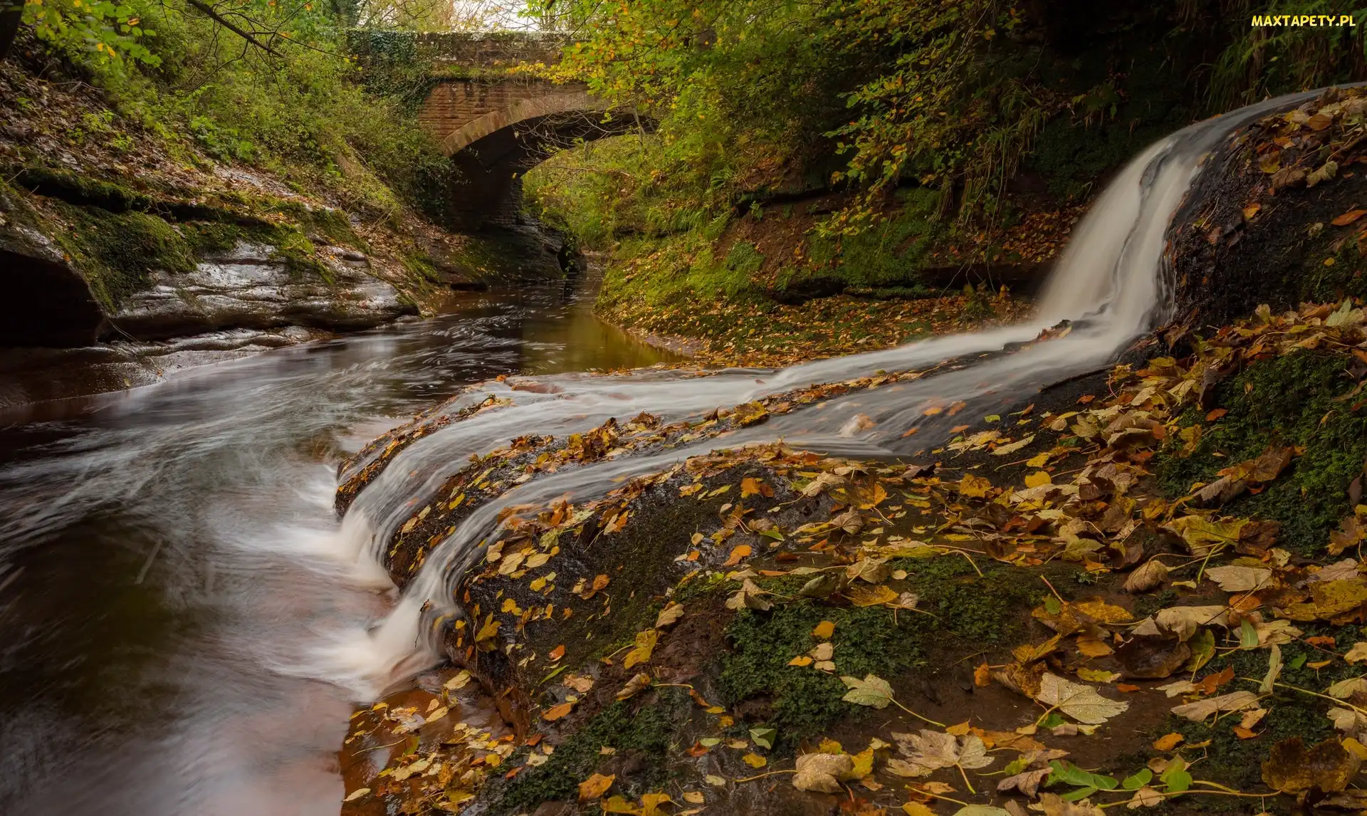 Most, Drzewa, Kumbria, Anglia, Rzeka River Gelt, Las