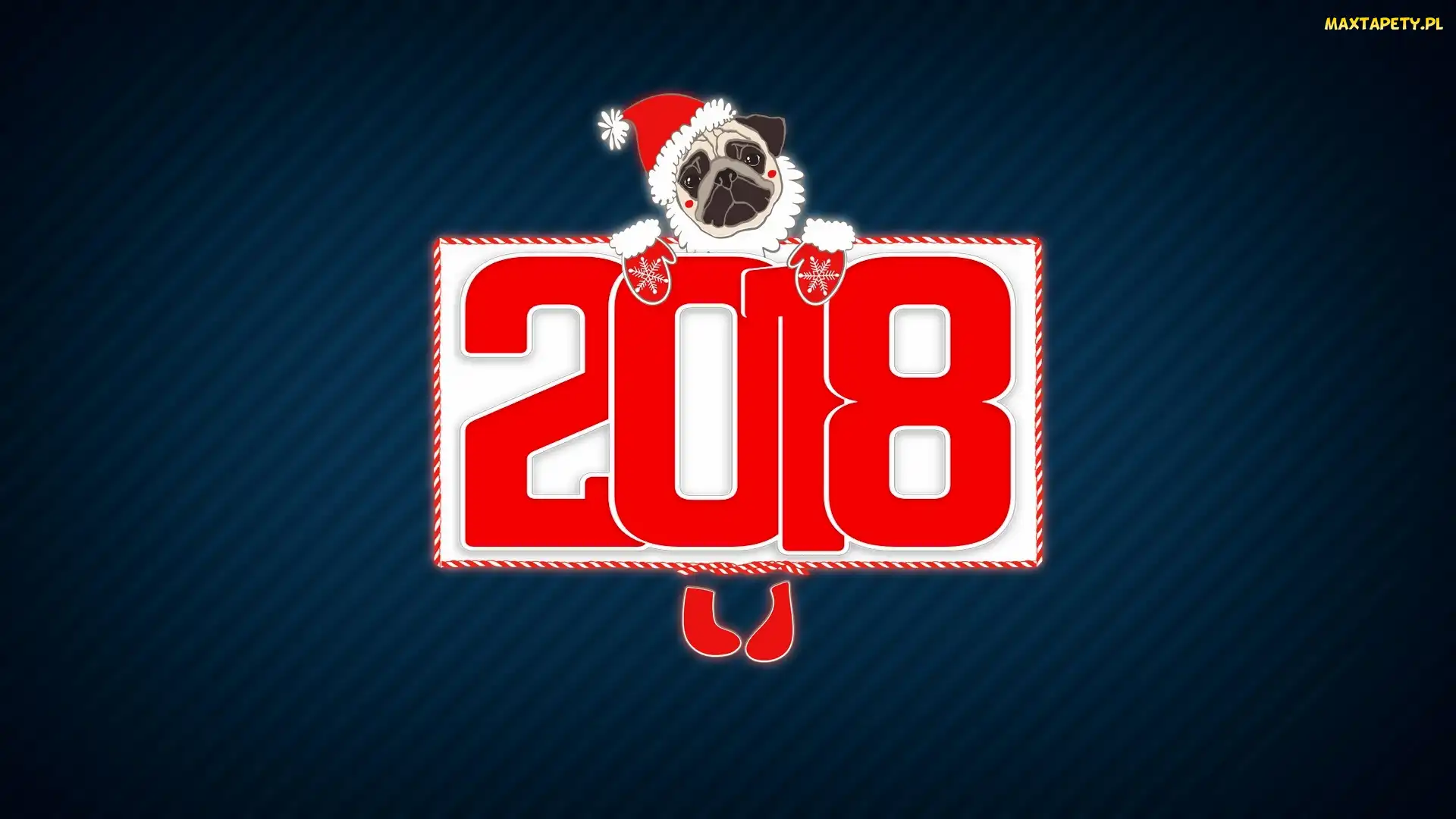 2018, Mops, Nowy Rok