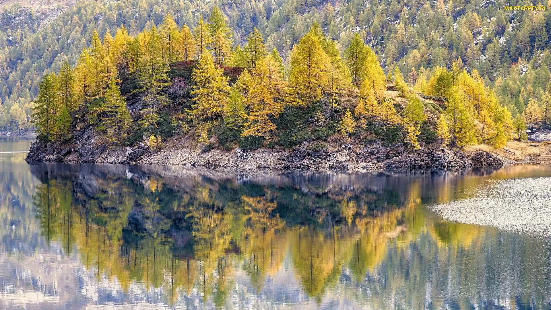 Park przyrody Alpe Veglia i Alpe Devero, Odbicie, Drzewa, Jezioro Dévero - Lago di Devero, Włochy